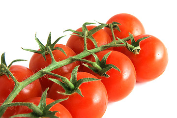 Image showing Ripe tomatoes