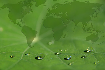 Image showing Green world