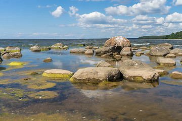 Image showing Baltic sea coast in summer vacation