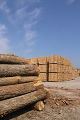 Image showing Wooden packing crates production