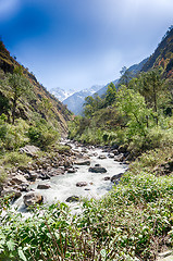 Image showing Mountain river in Nepal Himalaya