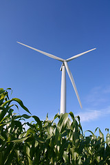 Image showing Wind turbine in a field