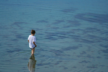 Image showing In a clear water