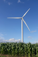 Image showing Wind turbine in a field