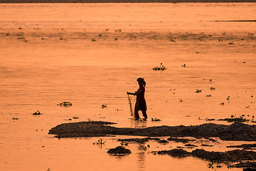 Image showing Asian Woman fishing in the river, silhouette at sunset