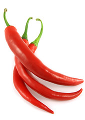 Image showing Red chili peppers