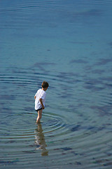 Image showing In a clear water