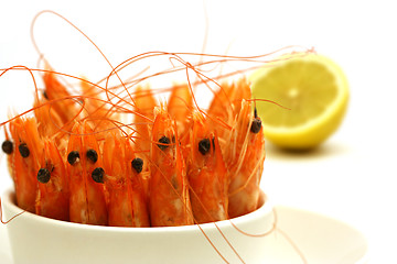 Image showing shrimps in a bowl