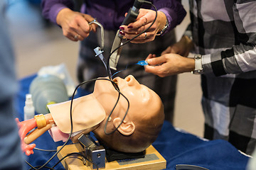 Image showing Medical doctor specialist expert displaying method of patient intubation technique on hands on medical education training and workshop