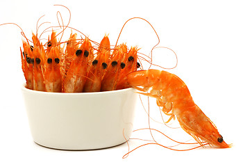 Image showing shrimp escape