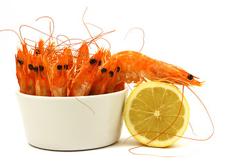 Image showing shrimp escape