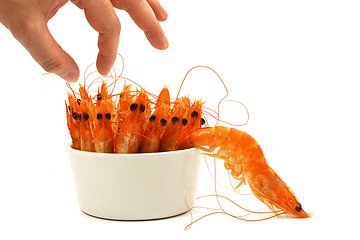 Image showing shrimp escape