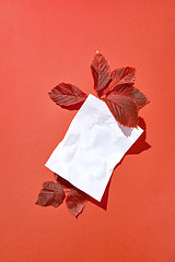 Image showing Crumpled paper sheet with autumn leaves with hard shadows.