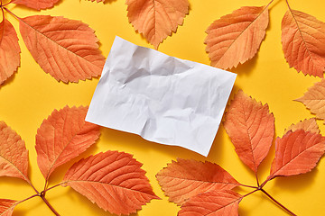 Image showing Crumpled paper sheet with autumn leaves with hard shadows.