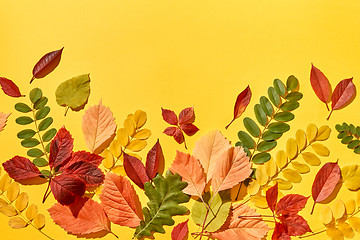 Image showing Autumn background handmade from colorful leaves.