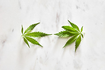 Image showing Two leaves of green cannabis.