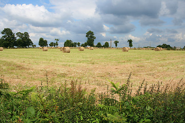 Image showing Round bales