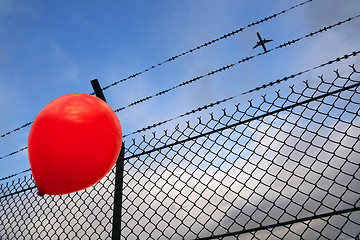 Image showing Barbed freedom (Liberté barbelée)