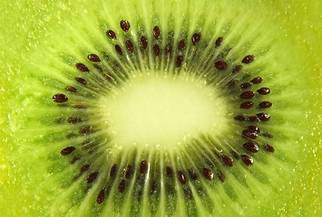 Image showing Kiwi fruit