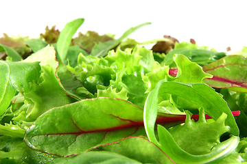 Image showing Fresh mixed lettuces, horizontal