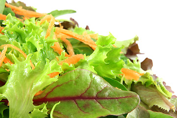 Image showing Fresh mixed lettuces, with carrots