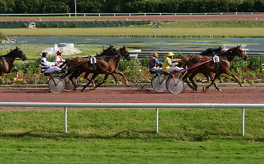 Image showing Horse race