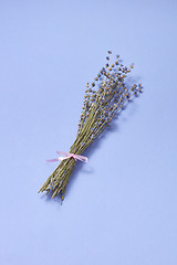 Image showing Lavender bunch dry flowers with soft shadows.
