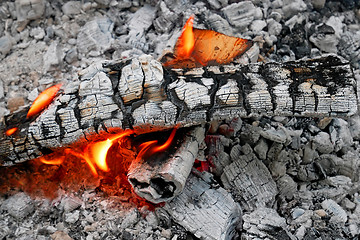 Image showing Burning Firewood and ash