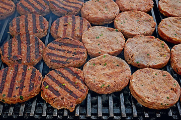 Image showing Meat cutlets fried on iron bars