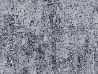 Image showing Digitized black and gray raster illustration with tiny details 
