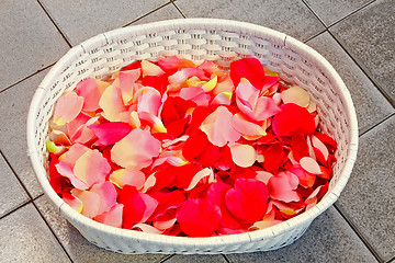 Image showing Petals in basket