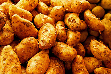 Image showing Dirt potato