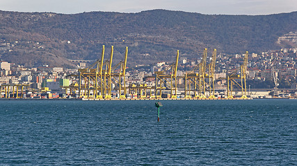 Image showing Trieste Port Cranes