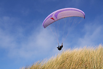 Image showing Purple paraglider