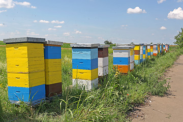 Image showing Colorful Beehive