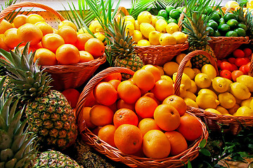 Image showing Citrus basket