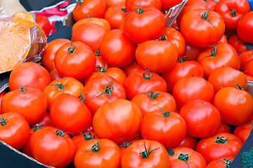 Image showing Tomato