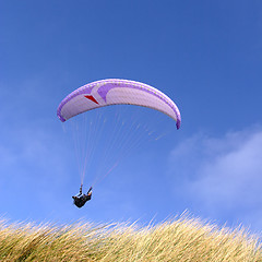 Image showing Purple paraglider