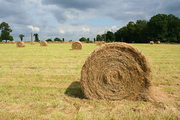 Image showing Round bale