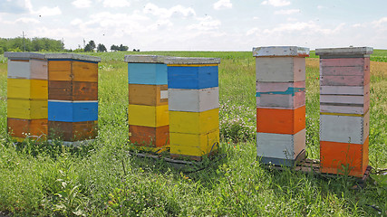 Image showing Beehive