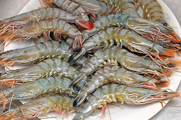 Image showing Tiger Prawns