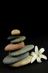 Image showing Balance of nature