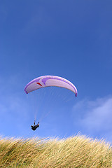 Image showing Purple paraglider