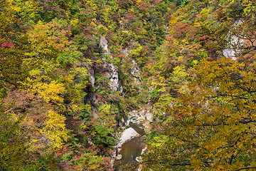 Image showing Naruko Gorge in Japan