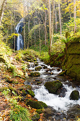 Image showing Oirase stream with waterfall in Japan