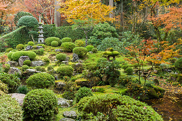 Image showing Autumn Japanese park