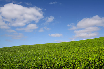 Image showing The green hill (horizontal)