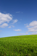 Image showing The green hill (vertical)