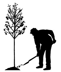 Image showing Man planting a tree