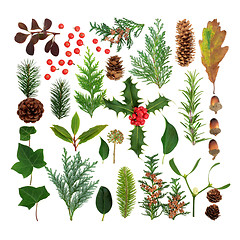 Image showing Winter Flora and Fauna